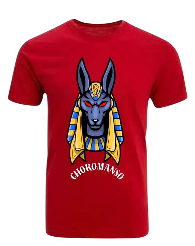 Polera de algodón punto liso perfecta para estampados personalizados